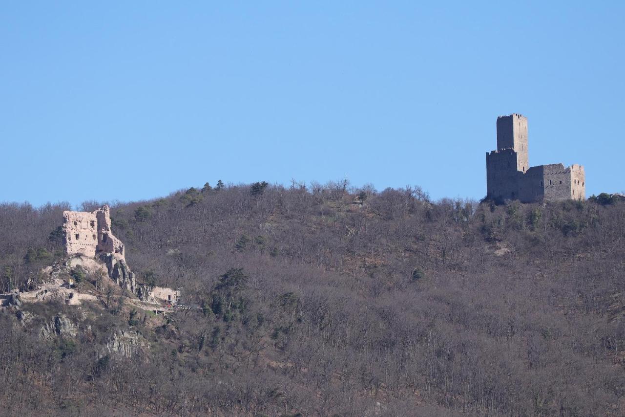Aux Souvenirs D'Anaelle Gites 5 Personnes Sainte-Marie-aux-Mines Exterior photo